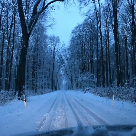 Am Fusse Des Schlosses * Arendsee (Uckermark)