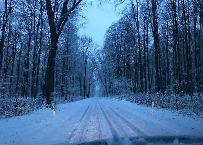 Am Fusse Des Schlosses * Arendsee (Uckermark)